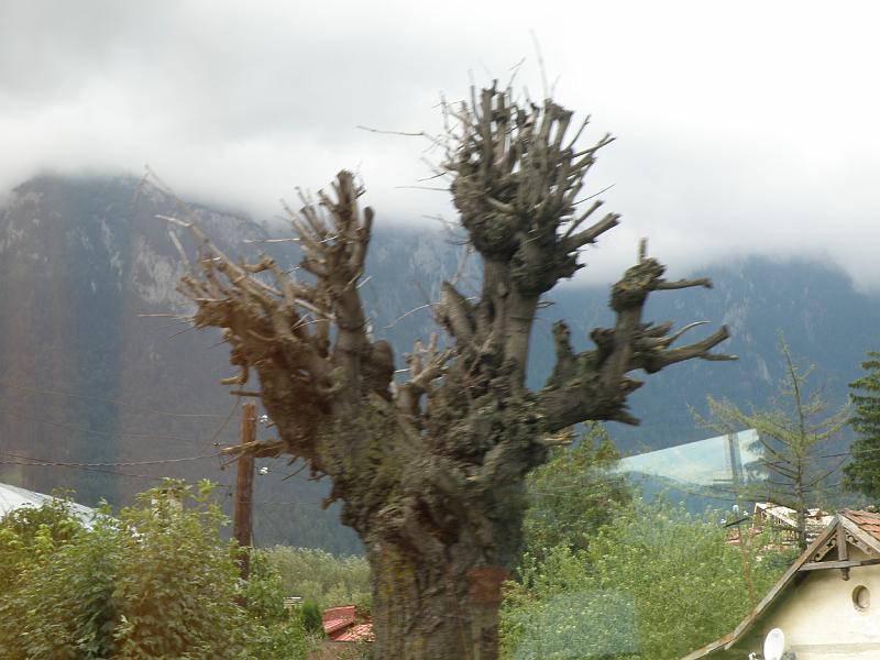 Karpaty 02.jpg